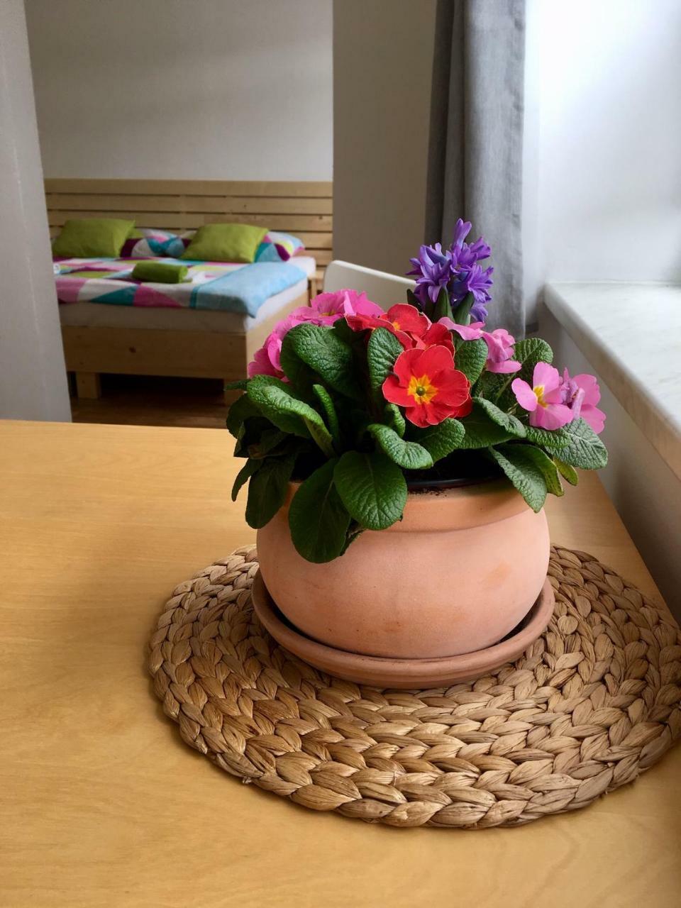 Apartmany A Ubytovani Mlynice Litovel Luaran gambar